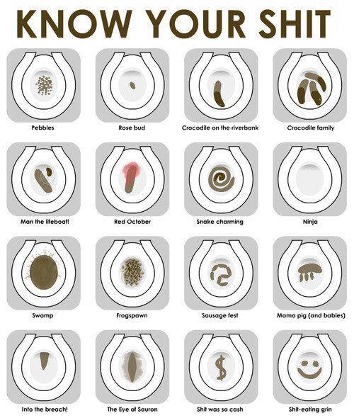 Bristol stool chart