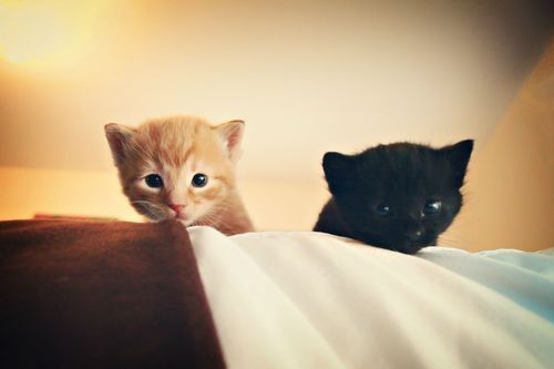 leilockheart:  FOLLOW for more photos 