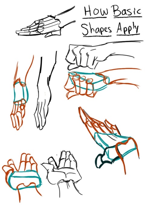 e1n: nachomusings: wannabeanimator: Hand drawing references by Bethany Craig *reblogs for reference*