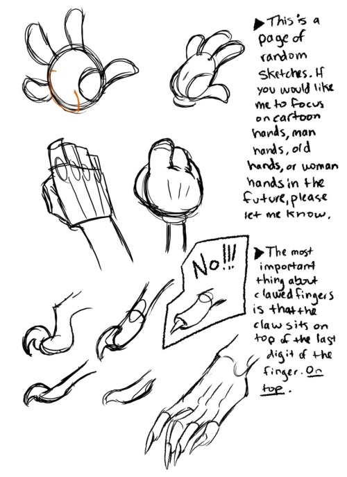 e1n: nachomusings: wannabeanimator: Hand drawing references by Bethany Craig *reblogs for reference*