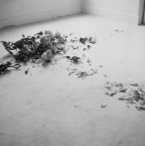 Memento Mori