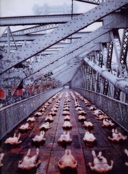 ankosv: barriers, spencer tunick, 1998