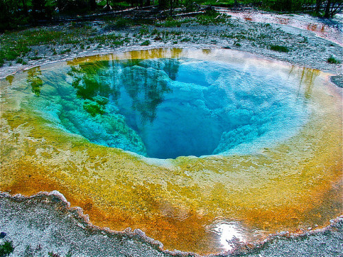 Yellowstone by tomstexasblues on Flickr. Morning Glory Pool - Yellowstone National Park, USA Travel 