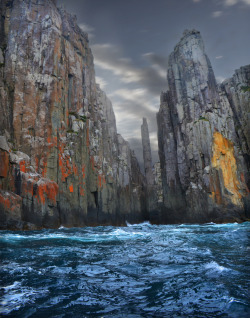 dittotheflamingoes:  Tasman Island, Tasmania 