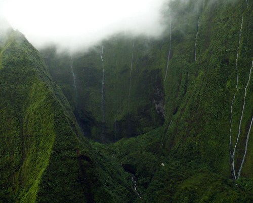 rorschachx:Mount Wai’ale’ale, Kaua’i | image by El laurenc