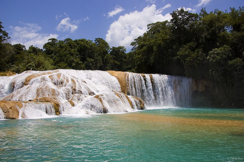 photo by shardox on Flickr.Cascadas de Agua Azul, Chiapas, MexicoTravel infos/Accomodation: http://w