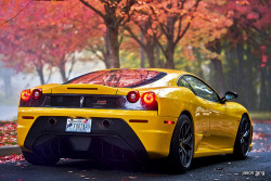 automotivated:  A Little Splash of Color