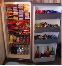  -Essa é a geladeira da minha futura casa!