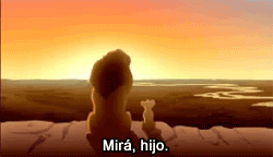 memesymamas:  via alasborricadas 