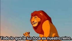 memesymamas:  via alasborricadas 