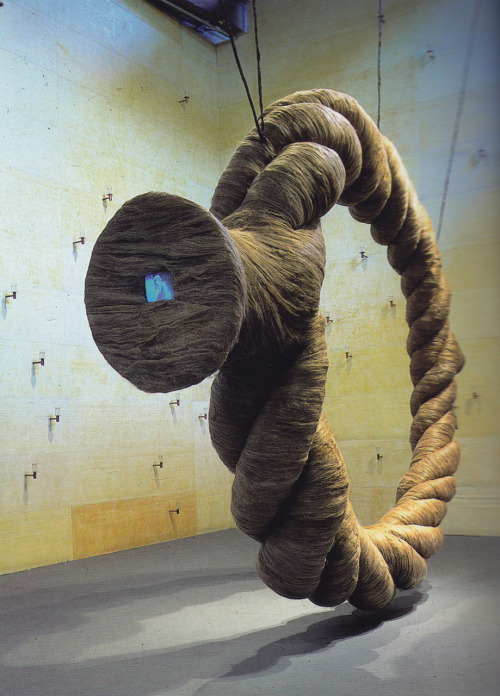 Sex artlyinc:  Ann Hamilton’s rope installation pictures
