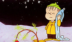  “I never thought it was such a bad little tree. It’s not bad at all, really.
