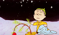  “I never thought it was such a bad little tree. It’s not bad at all, really.