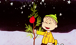  “I never thought it was such a bad little tree. It’s not bad at all, really.