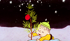  “I never thought it was such a bad little tree. It’s not bad at all, really.