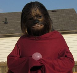 wookieelifeday:  Happy Wookiee Life Day, everyone! I hope to see some more awesome pics like this one of Ryan from last year! 
