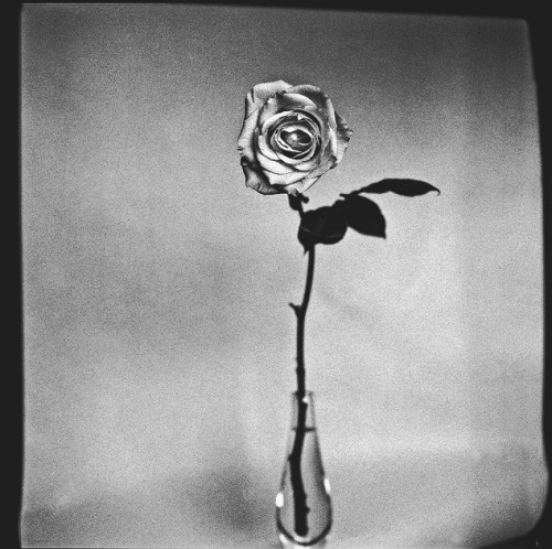 diacetyl-morphine.tumblr.com/post/13084679427/