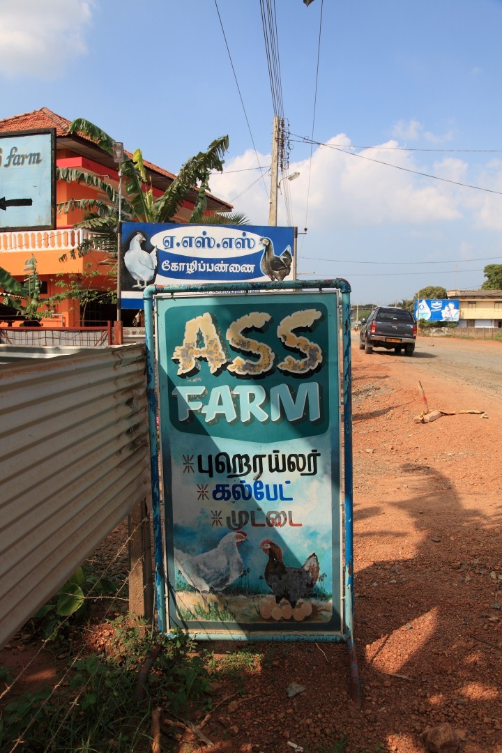 EPIC! ‘Ass Farm’. There Is a farm for everything these days. Spotted in Jaffna by Tharindu Amunugama.