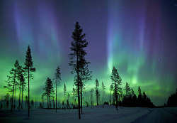 uniformitarianism:  Aurora Borealis, Kiruna, Sweden 