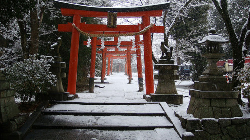 blue-serendipity:  winter / snow : kyoto, japan by momoyama on Flickr. 