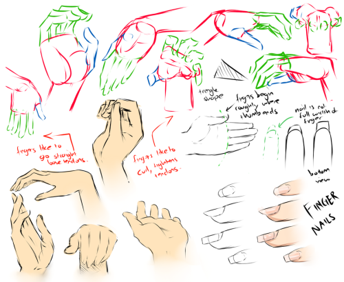 birdiyo: anatomicalart: Hand Study Artist: moni158 Links:Image 1Image 2Image 3Image 4 just rebloggin