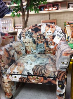 Best chair ever.