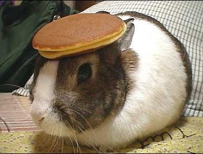 And what kind of monster could possibly resist a bunny in a pancake hat? 