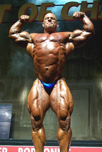 MUSCLE