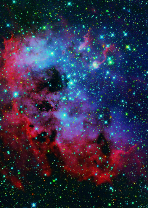 weareallstarstuff:  IC 410 