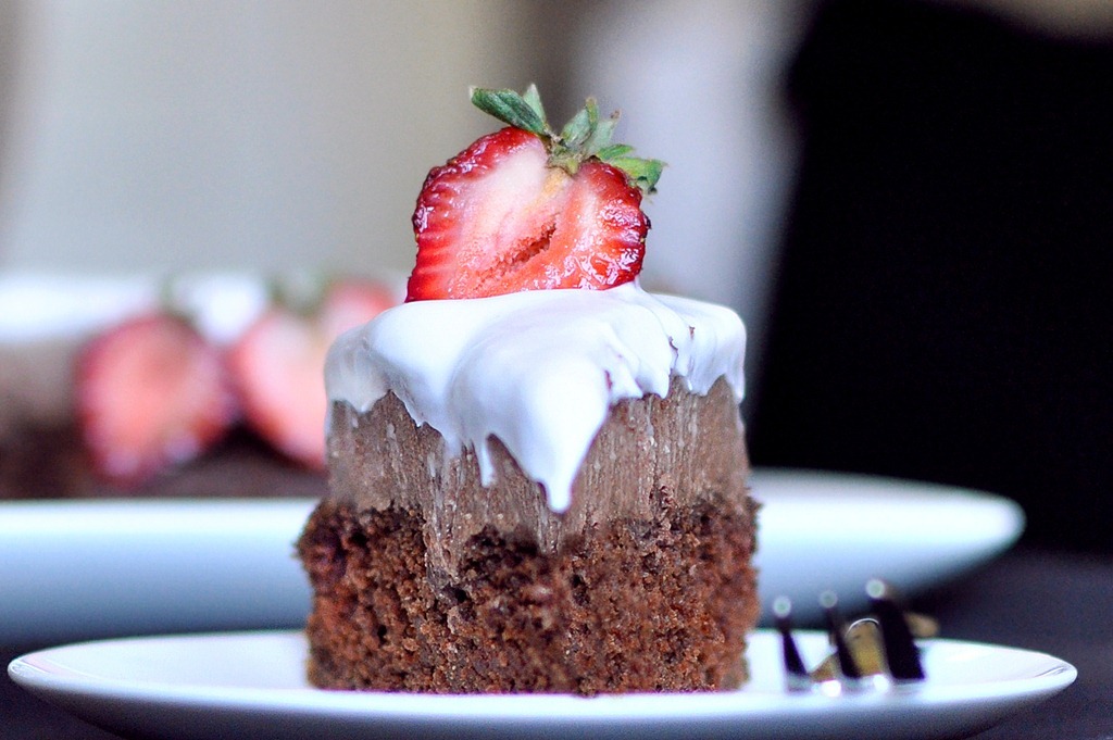 gastrogirl:
“ vegan triple-layer chocolate mousse fudge cake.
”