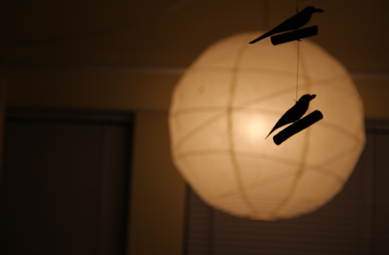 Flying in front of the moon…
(My little wooden birds hanging in my living room made by my friend, Kagiri)