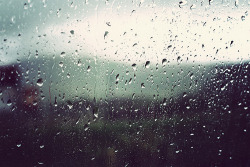 raining-for-you:  jeydon on We Heart It. http://weheartit.com/entry/17913939 