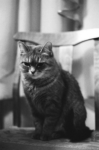 black-and-white:  By crookedjoy 