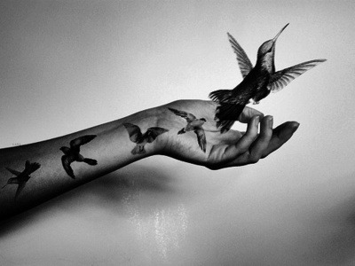 tigu:  One day I´ll fly away 