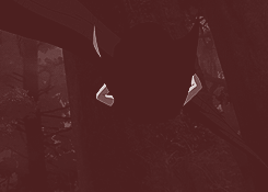  “Hurting? Try traumatized. I finally become leader and wind up sending all of