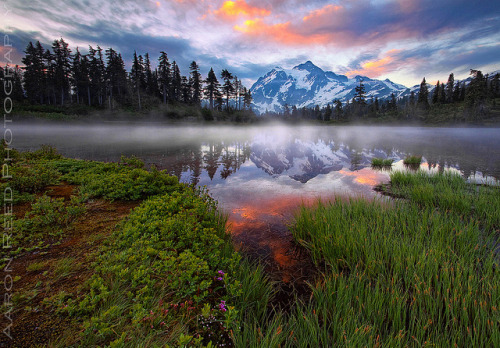 agoodthinghappened: The Rise Of Mt Shuksan by ~ Aaron Reed ~ on Flickr.