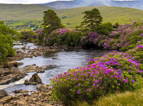 photo by sunnyjim36 on Flickr.Abhainn Oirimh Erriff river in Ireland.