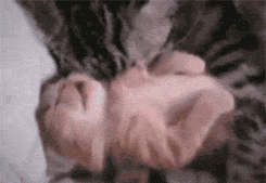 awysha:  thefrogman:  This kitten is having a bad dream about yarn balls coming to life and chasing him. Luckily his mama is there to give him a hug.  [video]  AHHHHH &lt;3 