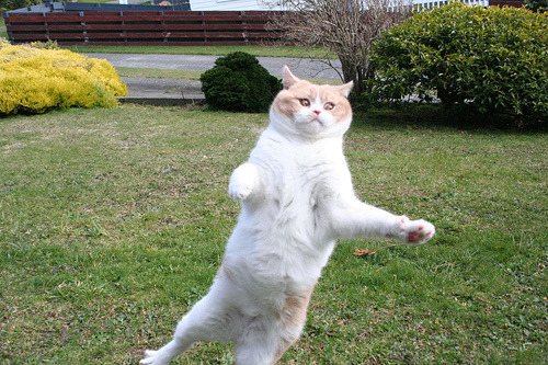 Invisible frisbee.
Photo by ©Murph & Billy