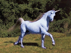in-dy:  colour changing unicorn, as you do 