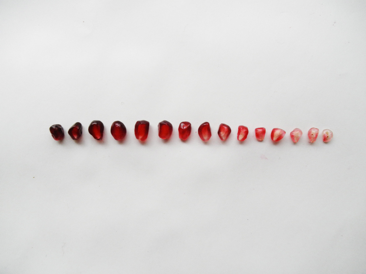  SUBMISSION: pomeganite seeds organized by color 