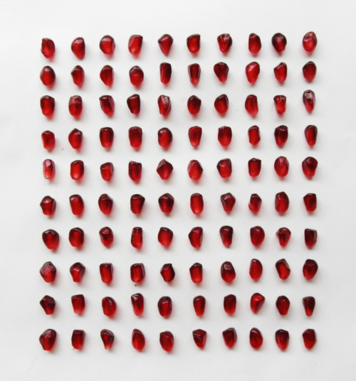 thingsorganizedneatly:SUBMISSION: 100 pomegranate seeds, organized neatly.