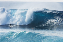 oceane-water:  hahpy:  surfing today  need more ocean blogs to follow! ✌ 