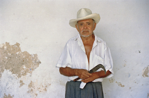 Gardener. Mexico. 2001
