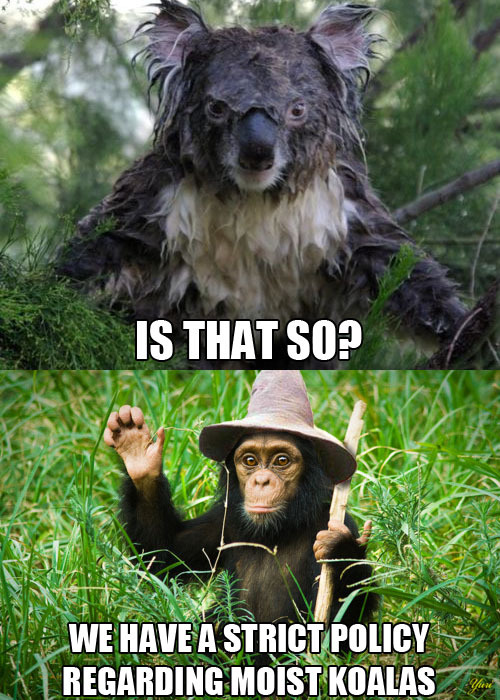 thefrogman:  Because of reasons.  