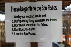 love the spa fishes <3