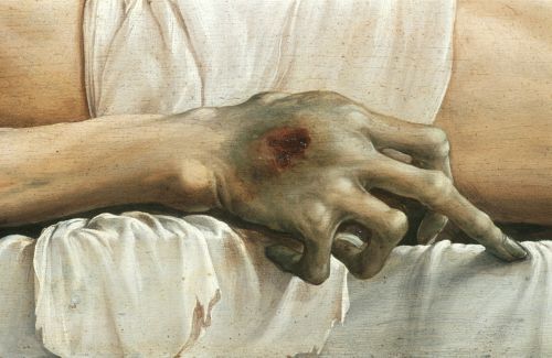  Hans Holbein the Younger, The Body of the Dead Christ in the Tomb (detail), c.