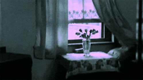 faerybites:  ☾☆