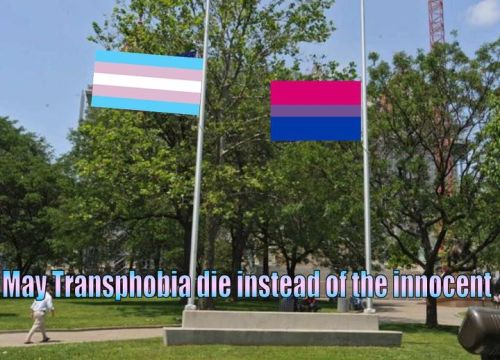 bisexual-community: Transgender Day of Remembrance (November 20th): May Transphobia die Instead of t