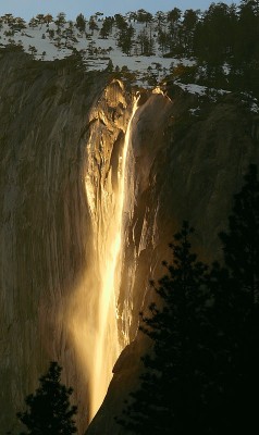 gummed:  Every year for a few days in the month of February, the sun’s angle is such, that it lights up Horsetail Falls in Yosemite, as if it were on fire.  I feel into a burning waterfall of fire~ It went down down down, and the flames came higher~